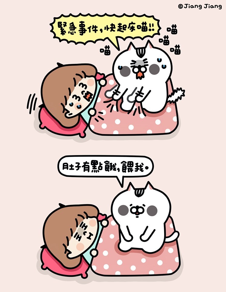 ＦＢ：就是醬子，喵！