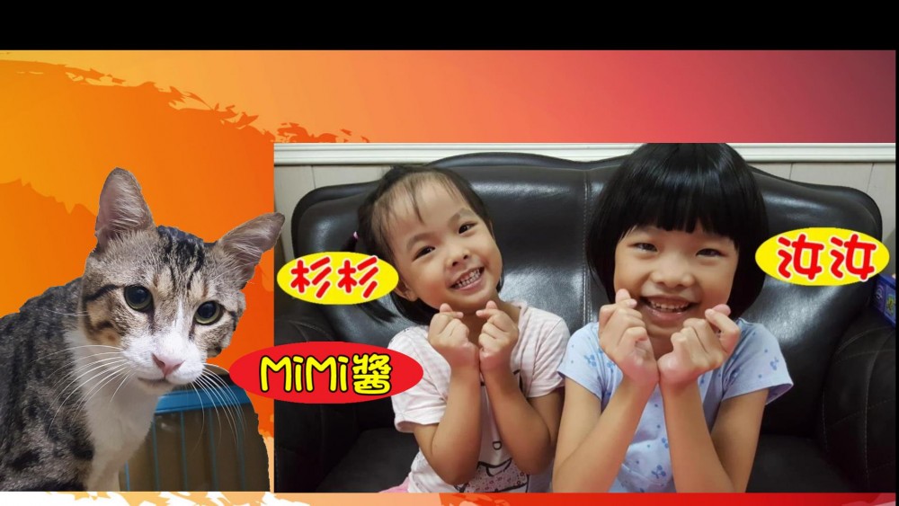 汝汝杉杉與MiMi醬的快樂日常
