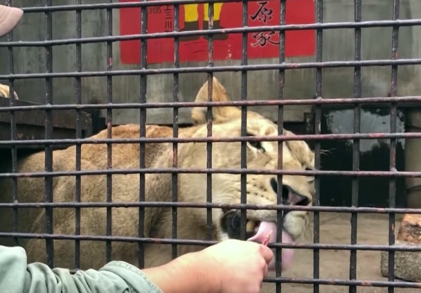 futabaNET【公式】