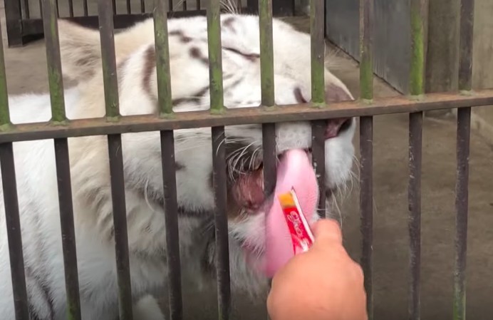 futabaNET【公式】