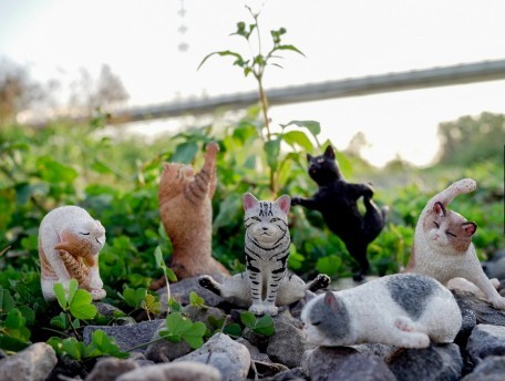 研達 Toy Friend 官網