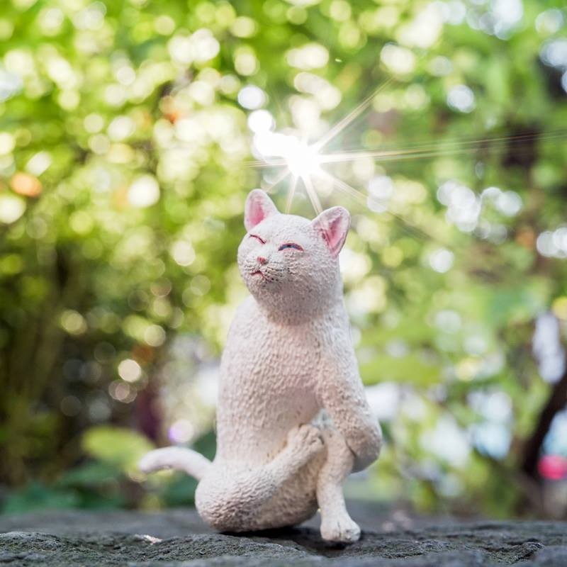 研達 Toy Friend 官網