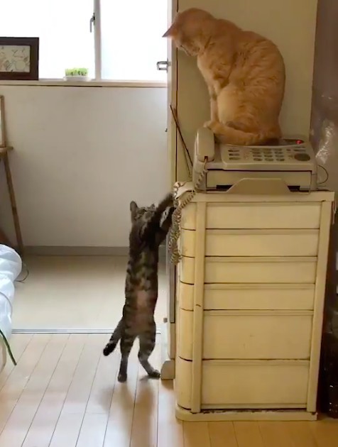 螢幕快照 2019-02-04 下午7.53.49