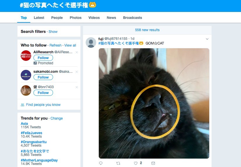 #猫の写真へたくそ選手権