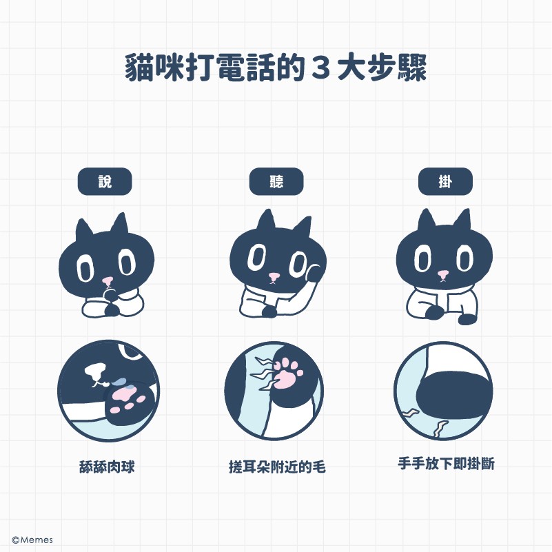 005_貓科學連載即將開始-3