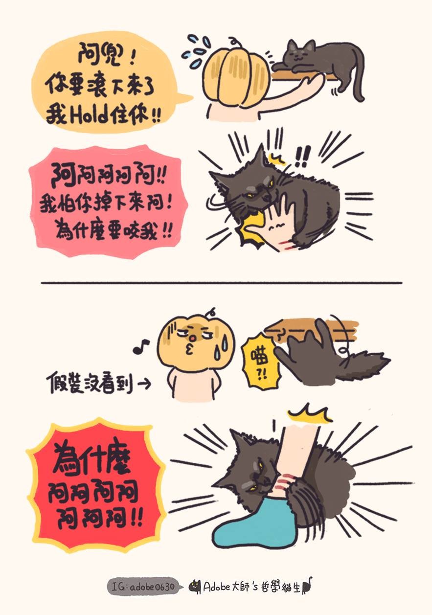 Adobe大師's哲學貓生