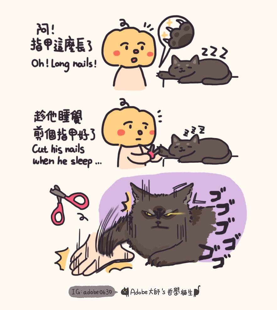 Adobe大師's哲學貓生