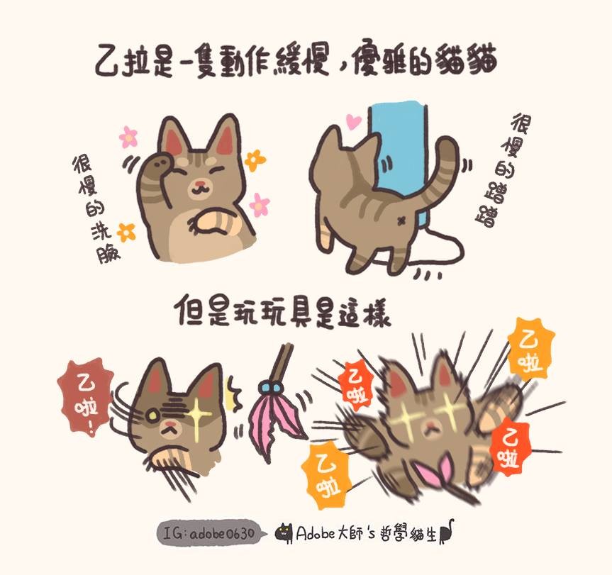 Adobe大師's哲學貓生