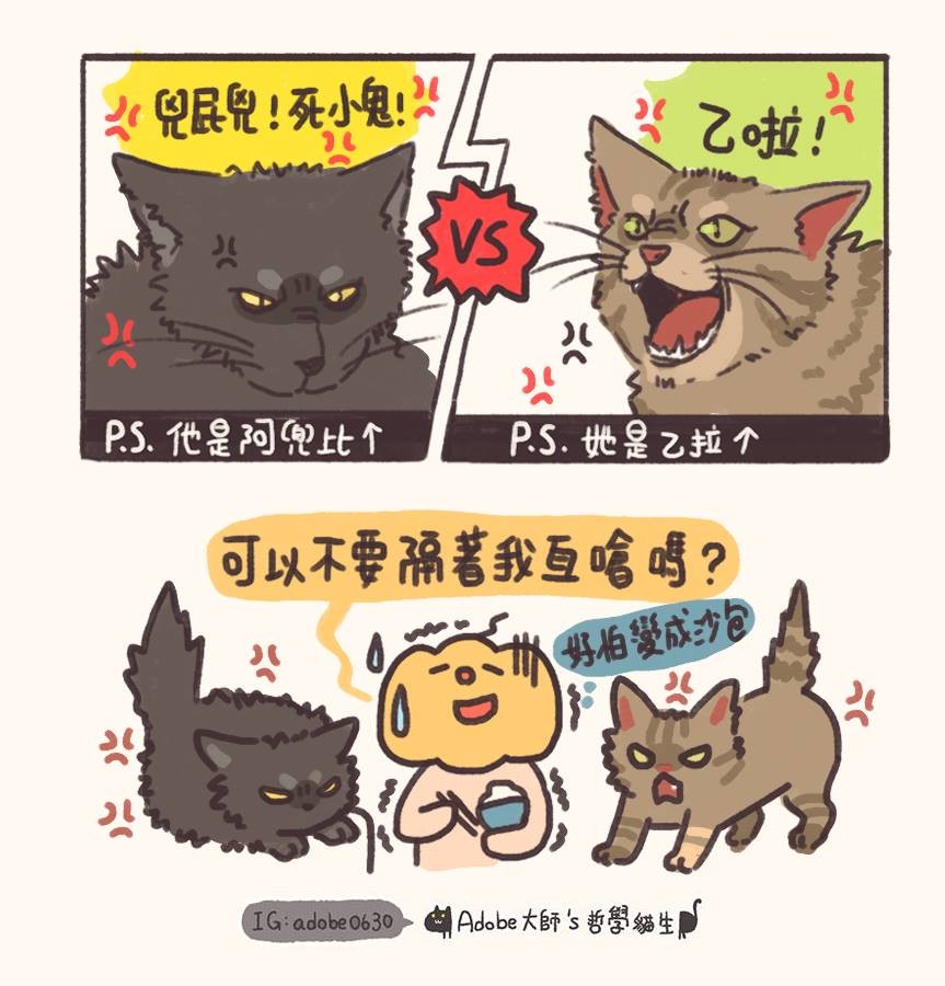 Adobe大師's哲學貓生