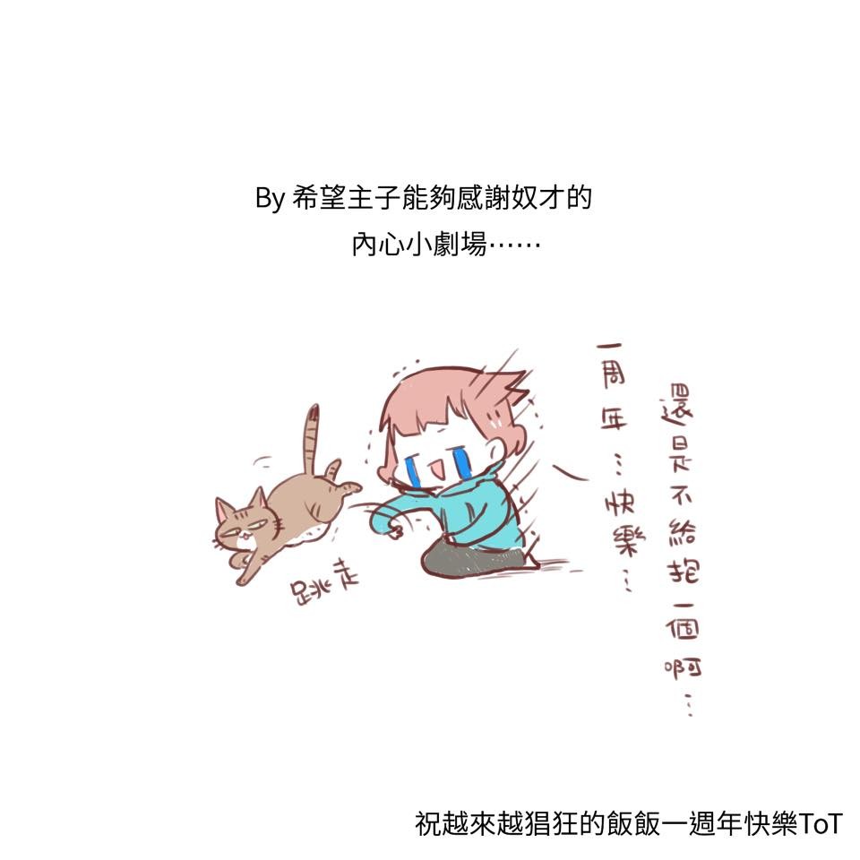 懶懶一坨貓咪