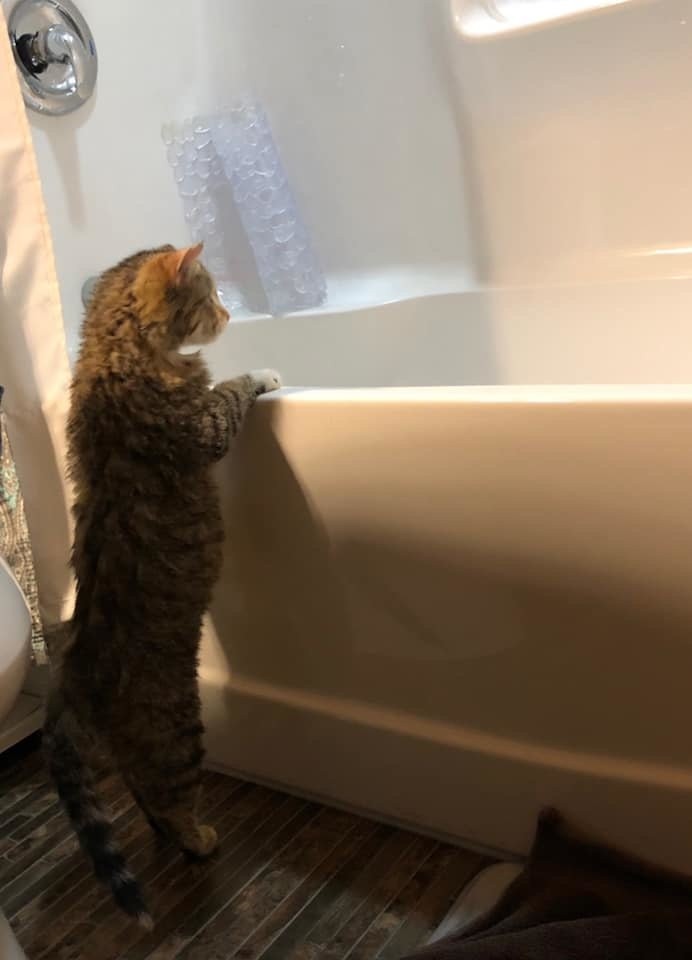 Steinbach Fire Department