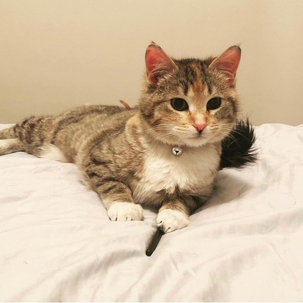 Steinbach Fire Department