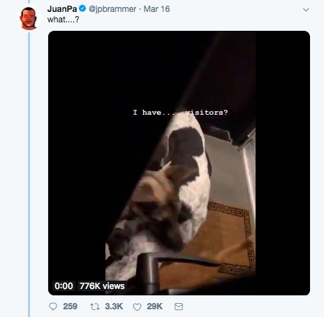 @jpbrammer