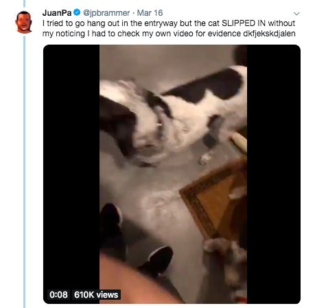 @jpbrammer