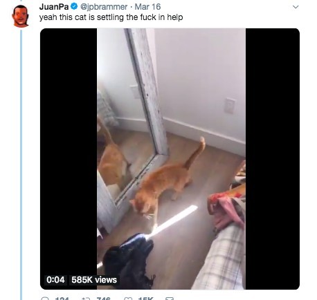 @jpbrammer