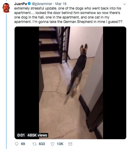 @jpbrammer