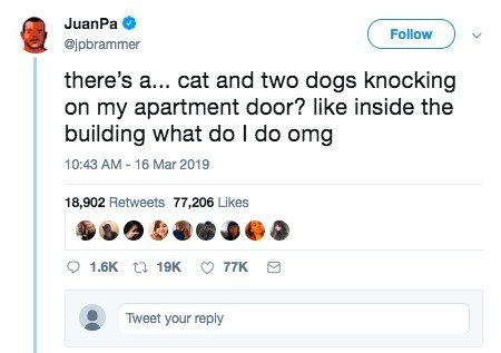 @jpbrammer