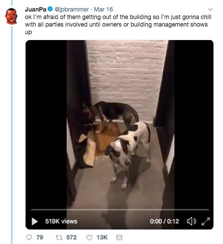 @jpbrammer