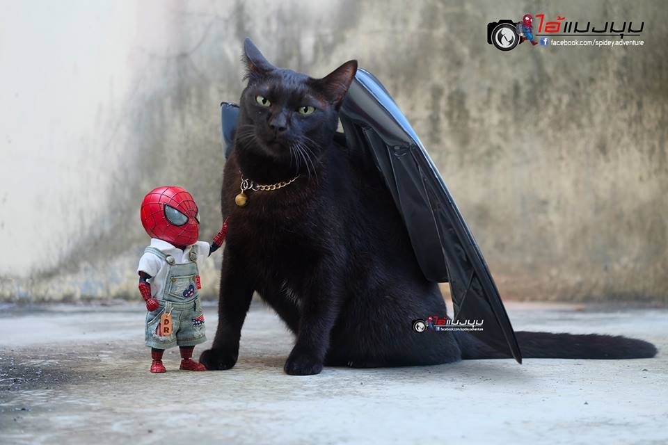 @spidey.adventure