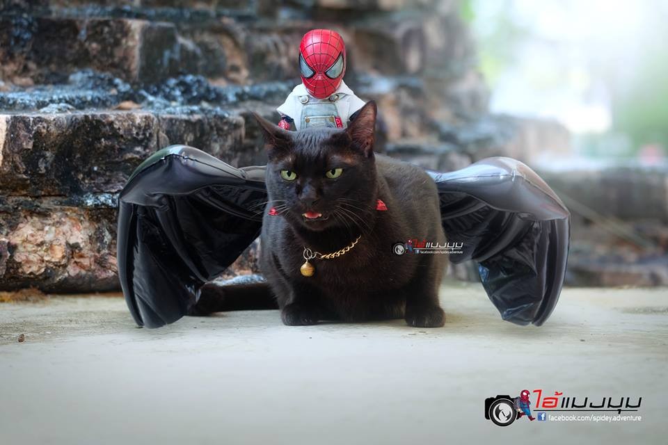 spidey.adventure