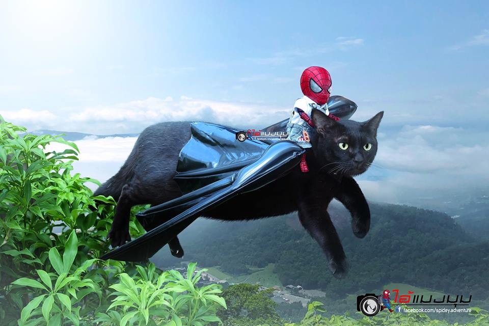 spidey.adventure