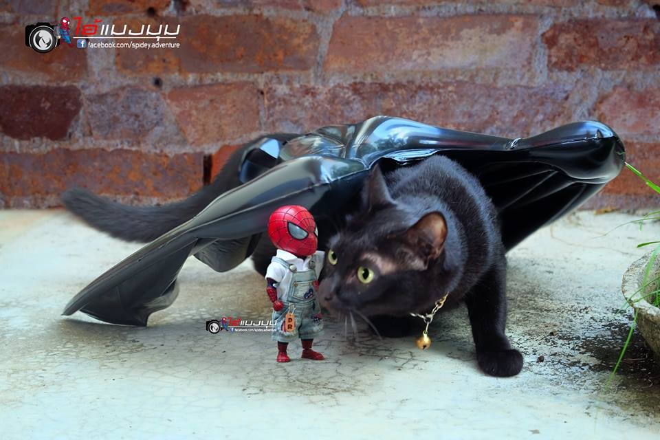 spidey.adventure