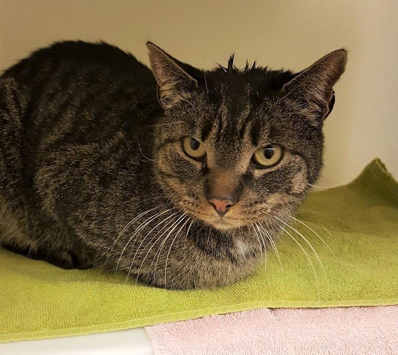 Robert&Elinore McCoy Repucci