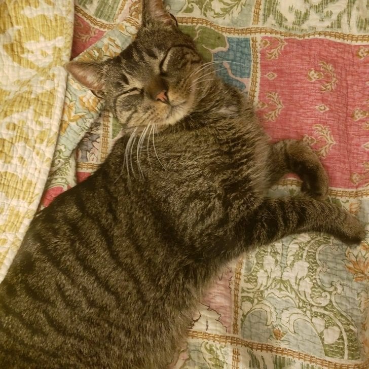 Robert&Elinore McCoy Repucci