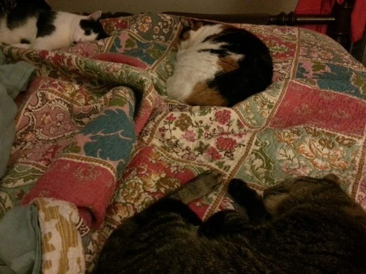 Robert&Elinore McCoy Repucci