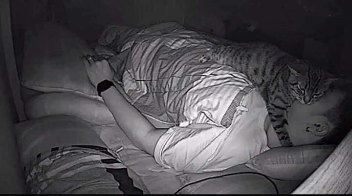 LomphontenLomphontan