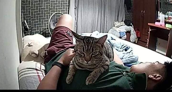 LomphontenLomphontan