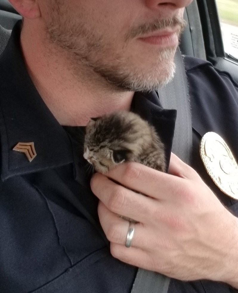 @OfficerMorton