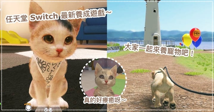 好想養寵物啊！任天堂 Switch《小小伙伴-狗狗&貓貓》中文版上市，超療癒遊戲讓你所有心願一次滿足～