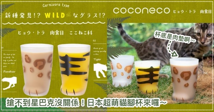 荷包君再見惹～日本貓腳杯再推出「叢林野獸杯」特別款！讓你把所有貓科動物都一次集好集滿♡