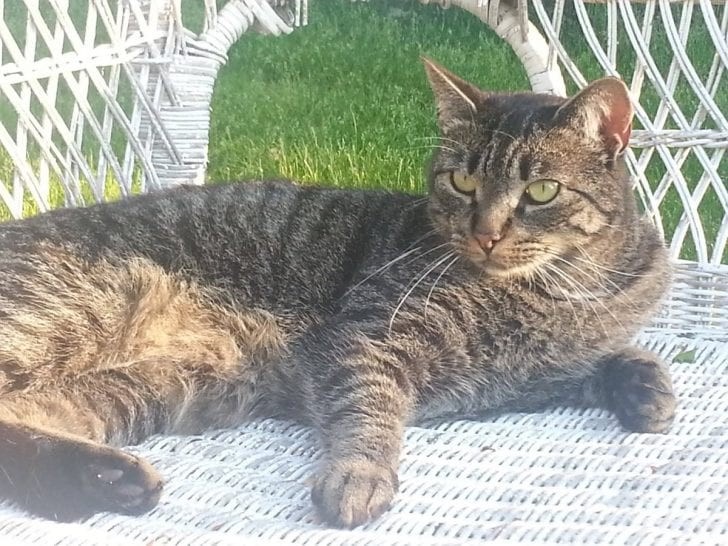 Robert&Elinore McCoy Repucci