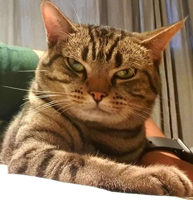 LomphontenLomphontan