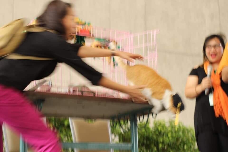 Gio Lapus