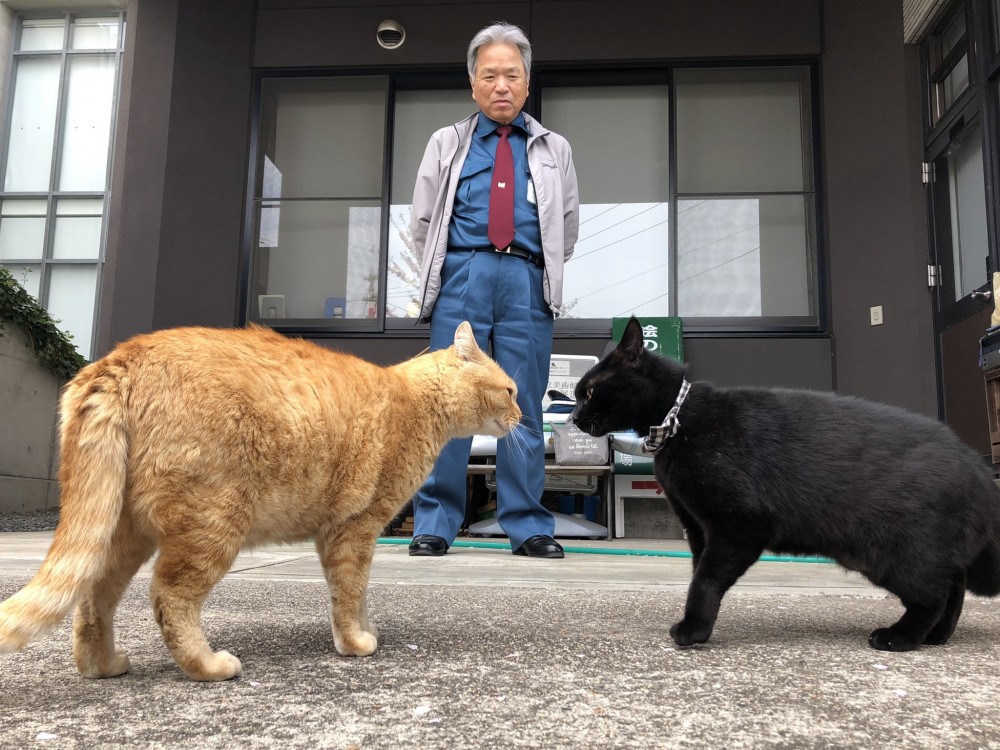 尾道市立美術館