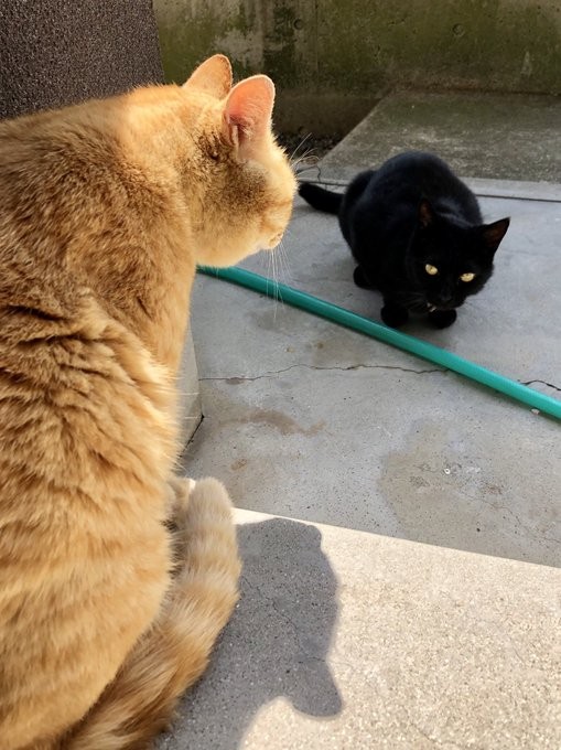 尾道市立美術館