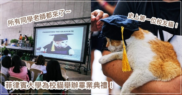 菲律賓大學的校貓畢業了！所有師生一同慶祝，還獲校友證！「強制畢業」原因笑翻網友～