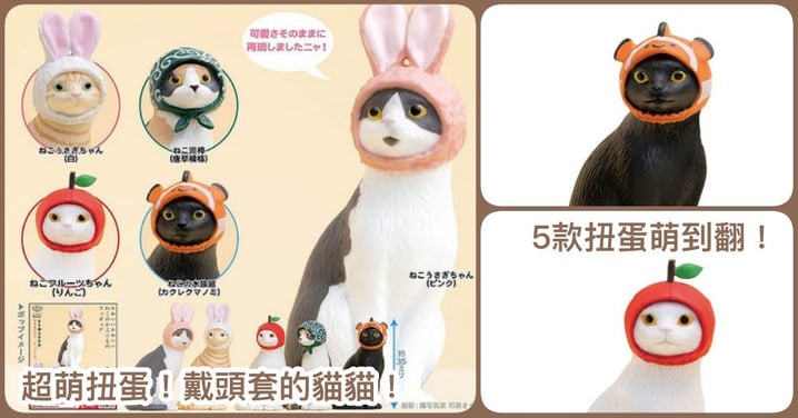 萌翻天扭蛋來了！日本超人氣 5 款「戴著頭套的喵星人」，多了兔耳朵、蘋果頭可愛程度直飆天際啦～
