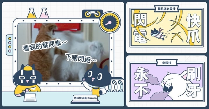 【Kuroro不可思議的貓科學】第九話 - 喵星人打架都是在練功？必殺技笑壞網友：很有共鳴！