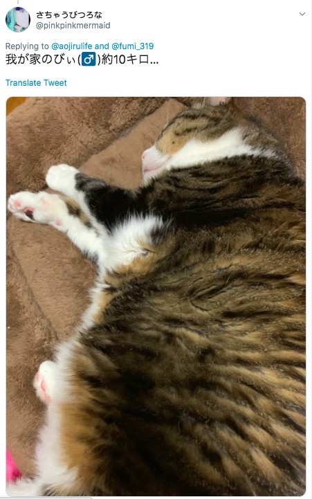 螢幕快照 2019-05-27 下午4.52.57