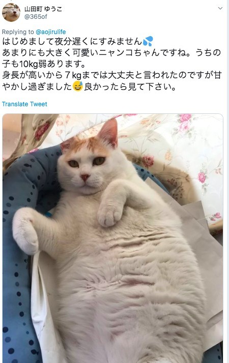 螢幕快照 2019-05-27 下午4.53.33