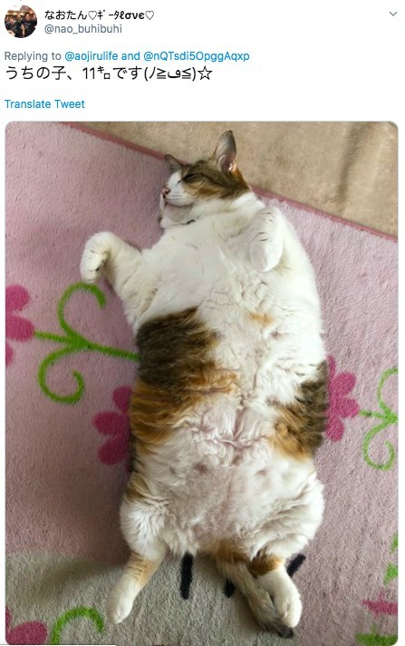 螢幕快照 2019-05-27 下午4.54.00