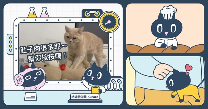【Kuroro不可思議的貓科學】第十三話 - 貓為啥都愛踏踏呢？揭秘關於喵星人踏踏的 6 個秘密！