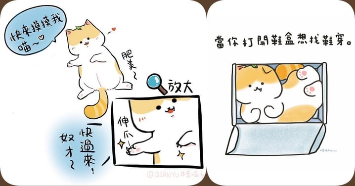 超療癒萌貓圖文！6個戳中笑點的「貓主子日常」，笑壞貓奴：「我家那隻就是這樣！」