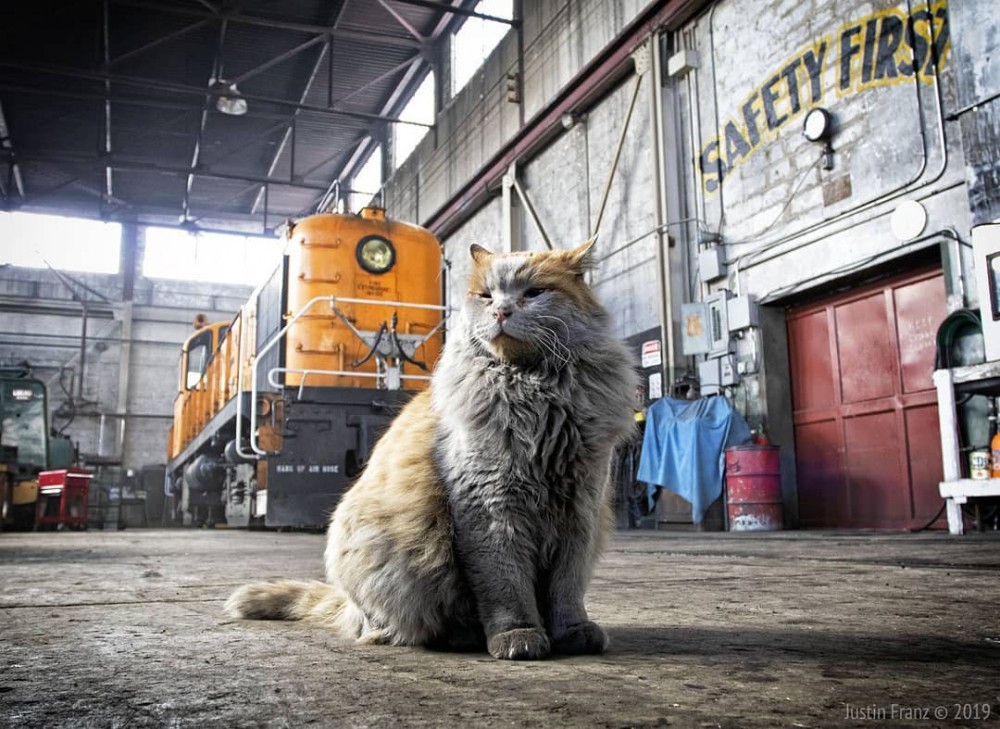 ghost_train_of_old_ely