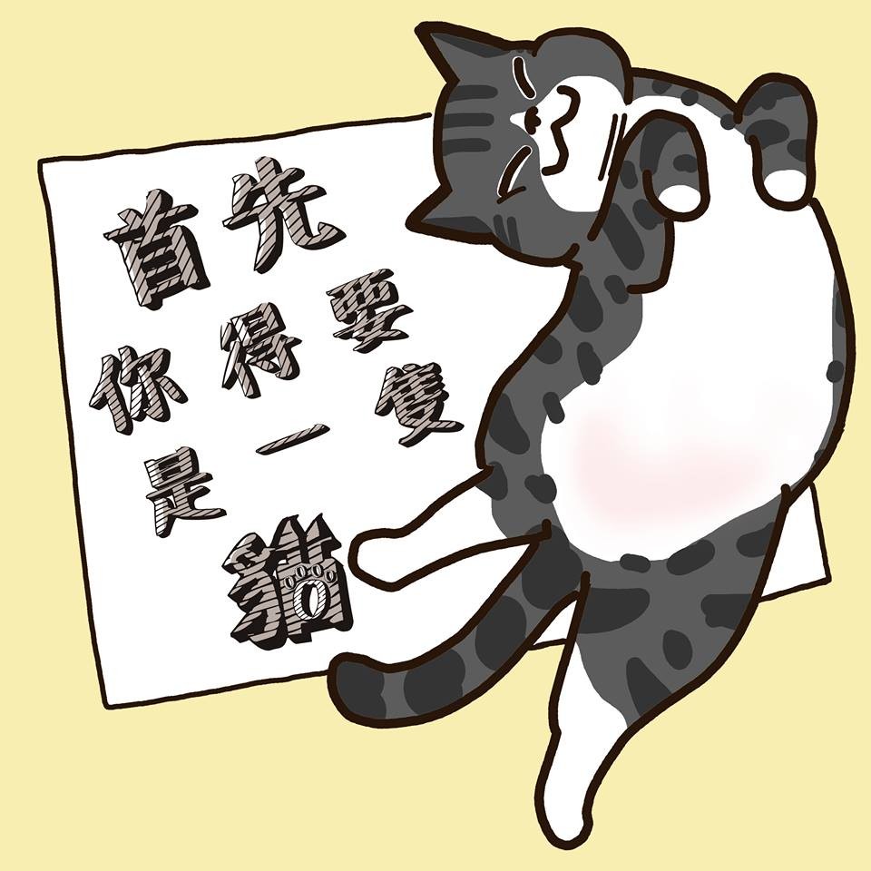 FB 我的貓貓生活