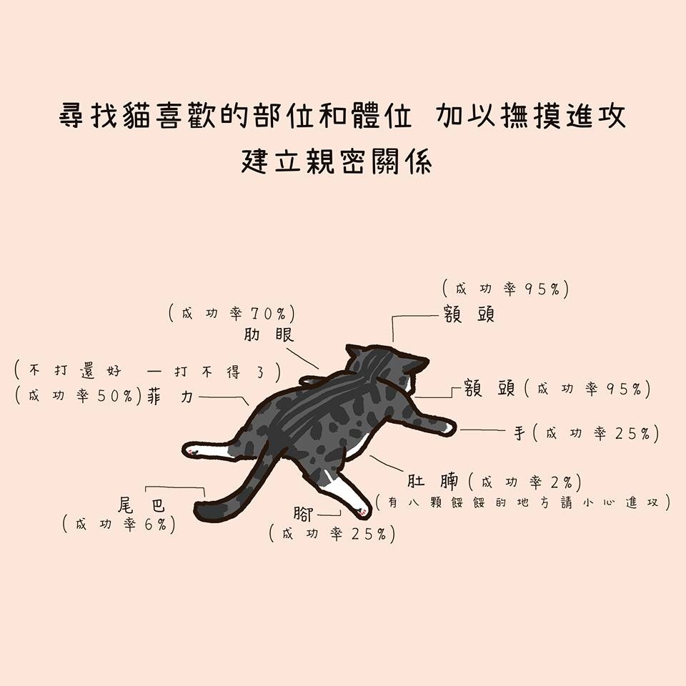 FB 我的貓貓生活